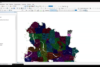 work on gis mapping, map digitizing, georeferencing, spatial