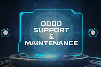 provide odoo support and maintenance services
