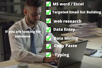 do fastest data entry, web research, copy paste and excel data entry