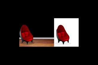 background removal, transparent, white and cut out images in 24 hrs