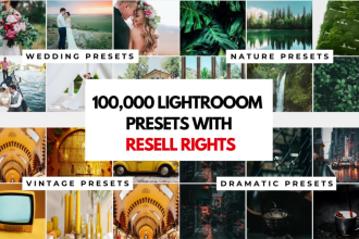 deliver 100,000 lightroom presets pack for you to resell