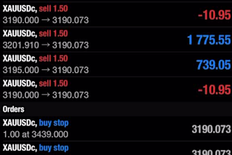 setup trading bot, forex trading bot, forex robot, forex bot, trading bot