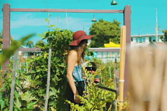 adobe premiere pro color grading