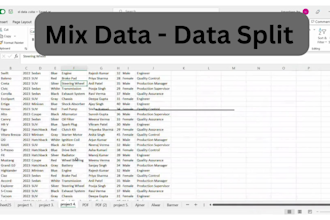 be a virtual assistant for excel, word, PPT, and canva