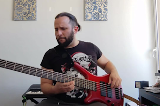 create the best bass lines ever rock funk ska reggae punk and hip hop