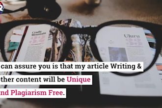 do article writing in one day