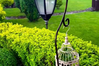 design landscape, backyard, hardscape, softscape, yard, multi playground, patio