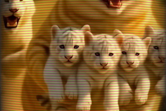 create ai generated cat story videos viral youtube shorts instagram reels  tt