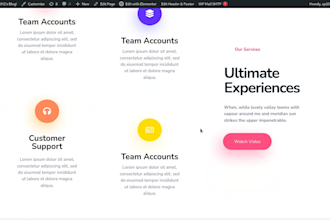 create ecommerce, woocommerce, professional responsive wordpress site