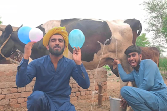 african happy birthday video african happy birthday video