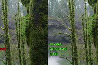 compress large videos to smaller size in any format