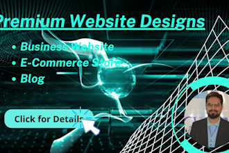 build a professional website and online store at affordable cost