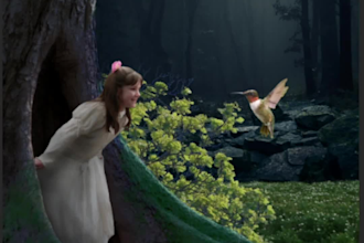 do creative photo manipulation