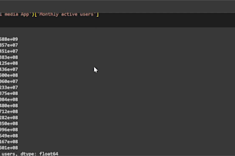 complete your python projects for you