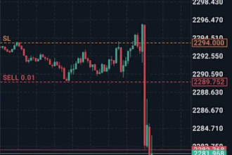 code expert advisor, mt4 mt5 trading bot, forex robot, forex hft bot, indicator