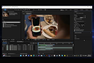 do anything in adobe after effects and premiere
