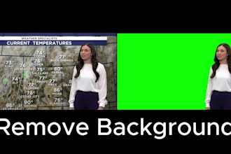 remove or change the background of your video professionally