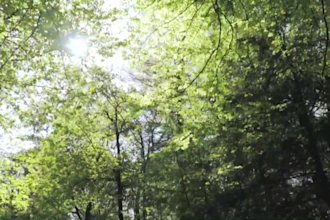 make meditation and relaxing music videos