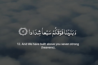 create quran recitation or islamic video for tiktok and reels