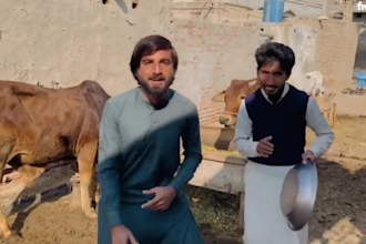 amazing happy feathers day video or african happy birthday video