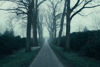 color grade your video