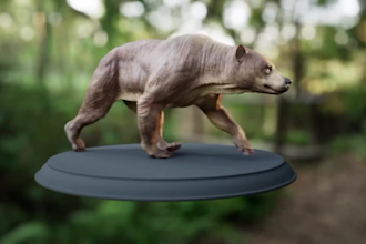create high quality 3d cgi animal ,3d animal animation, 3d cgi , 3d vfx