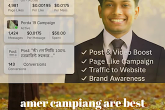 run highly targeted facebook ads campaign and leads