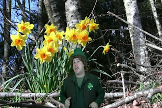 be your magical Leprechaun on video
