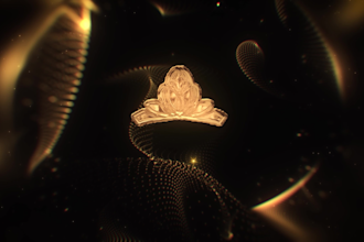make your awards shine with a professional promo video