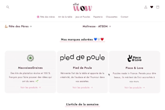 design a shopify store that reflects your brand
