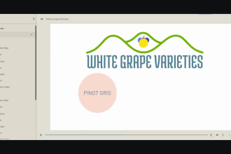 design elearning courses in articulate storyline 360