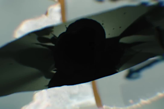 create captivating cinematic storyboard ai movie trailer ai commercial video ad