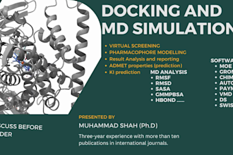 perform docking and molecular dynamic simulation
