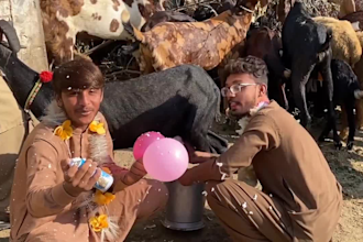 wish funny african happy birthday video or happy birthday