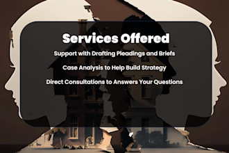 provide expert family law consultation, legal document drafting, and review