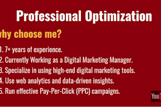 be your youtube SEO expert for video ranking and channel optimization