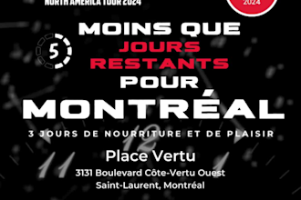 design professional english and french posters or banners