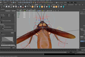 be 3d modeler, animate,rid 3d avatar, face expression, lips sync, 3d animaze rig