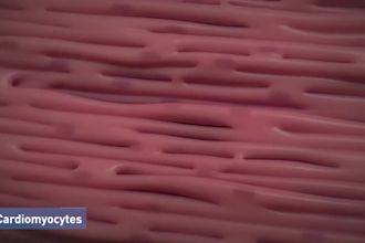 create high quality medical animation, 3d medical animation, and surgery videos