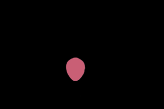 make frame by frame 2d GIF animation or loop animation videos