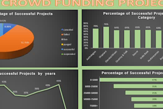 make professional excel dashboards, graph, chart, pivot tables and vlooku