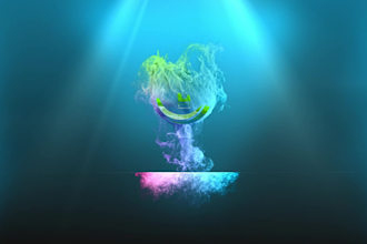 create an amazing logo animation intro video with in 24hrs