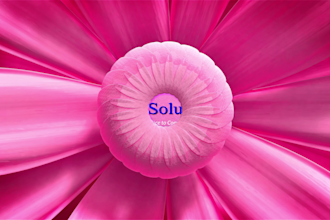 listen and help you reach the best solution