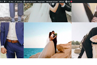 create event or wedding invitation website with rsvp