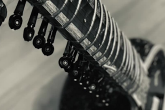 offer professional sitar lessons