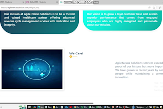 develop a responsive ecommerce, coupon, or URL shortener website