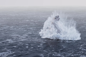 do water and fluid simulations