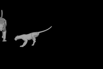 do realistic 3d animal animation, cgi animal model, animal rig, 3d character cgi