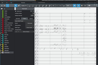 arrange and produce your song with piano or band