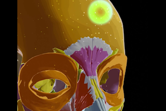3d medical animation ,3d character animation and 3d product animation